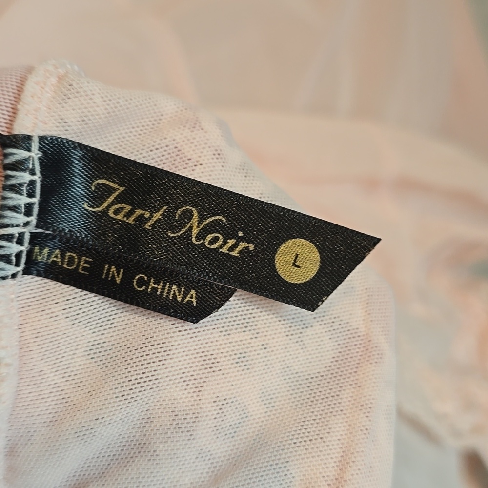 Tart Noir Peach Lace & Sheer Mesh Sleeveless Bodysuit - Size Large - Picture 4 of 5